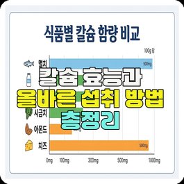 칼슘 효능과 올바른 섭취 방법 총정리