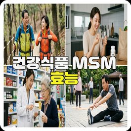 건강식품 MSM 효능