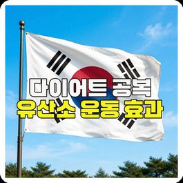 다이어트 공복 유산소 운동 효과