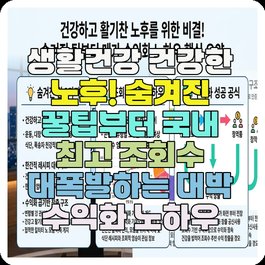 생활건강 건강한 노후! 숨겨진 꿀팁부터 국내 최고 조회수 대폭발하는 대박 수익화 노하우