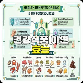 건강식품 아연 효능