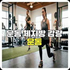운동 체지방 감량 운동