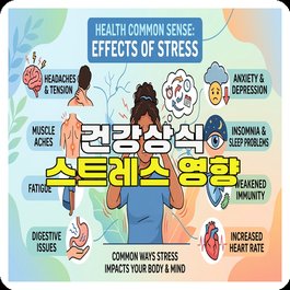 건강상식 스트레스 영향